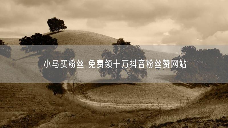 小马买粉丝 免费领十万抖音粉丝赞网站