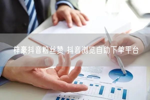 梓豪抖音粉丝赞 抖音浏览自助下单平台