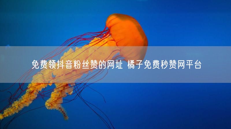 免费领抖音粉丝赞的网址 橘子免费秒赞网平台