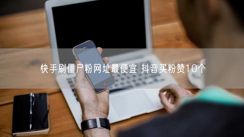 快手刷僵尸粉网址最便宜 抖音买粉赞10个