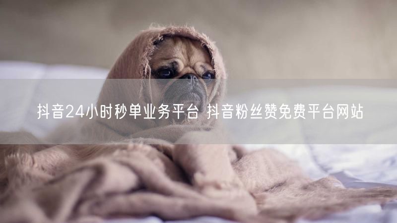 抖音24小时秒单业务平台 抖音粉丝赞免费平台网站