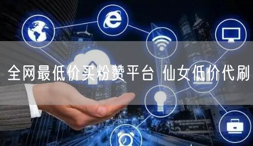 全网最低价买粉赞平台 仙女低价代刷
