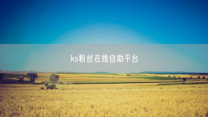 ks粉丝在线自助平台