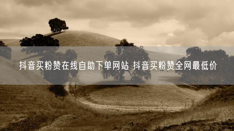 抖音买粉赞在线自助下单网站 抖音买粉赞全网最低价