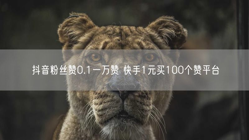 抖音粉丝赞0.1一万赞 快手1元买100个赞平台