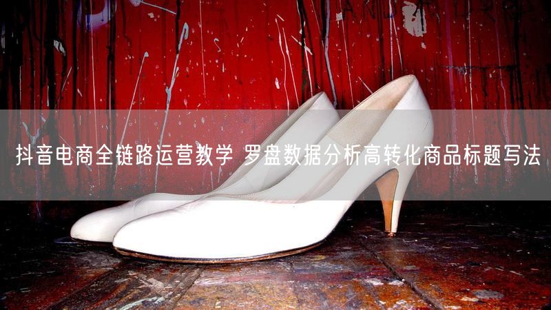 抖音电商全链路运营教学 罗盘数据分析高转化商品标题写法