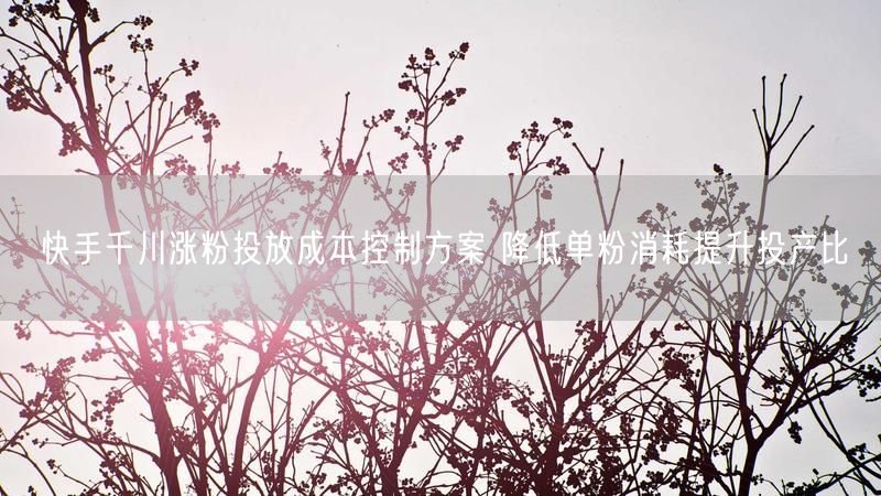 快手千川涨粉投放成本控制方案 降低单粉消耗提升投产比