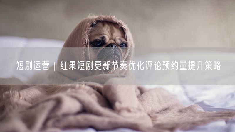 短剧运营|红果短剧更新节奏优化评论预约量提升策略