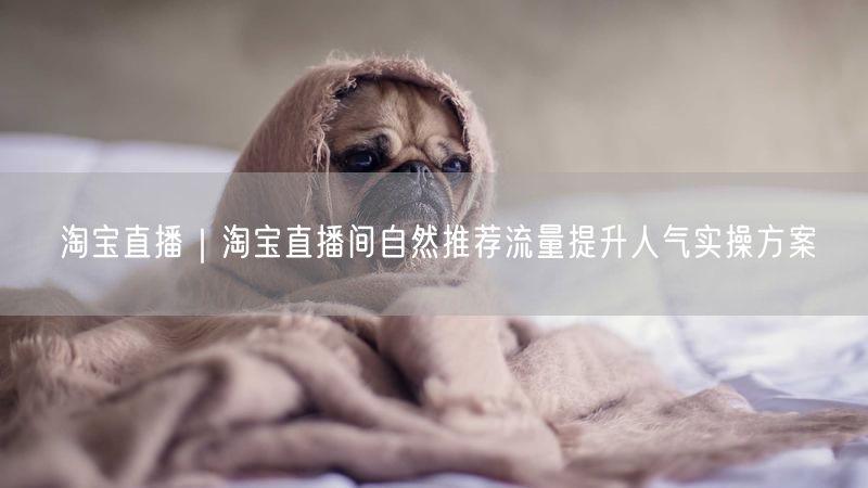 淘宝直播|淘宝直播间自然推荐流量提升人气实操方案