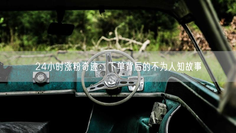 24小时涨粉奇迹：精准定位与策略布局揭秘