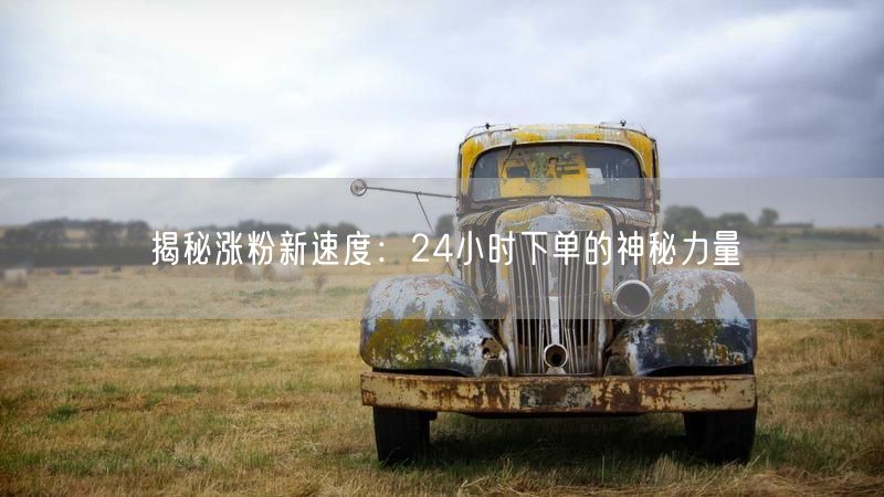 揭秘涨粉新速度:24小时下单的神秘力量