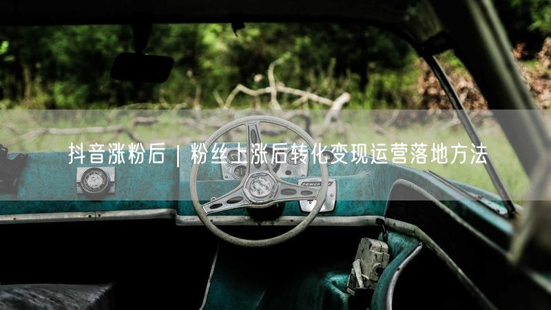 抖音涨粉后如何变现？实操指南揭秘粉丝转化运营