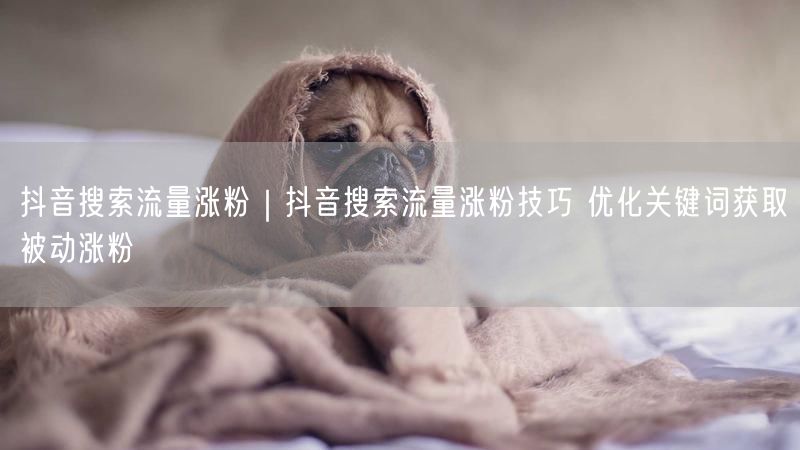 抖音搜索流量涨粉｜抖音搜索流量涨粉技巧 优化关键词获取被动涨粉