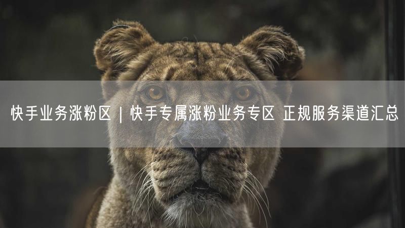 快手业务涨粉区｜快手专属涨粉业务专区 正规服务渠道汇总
