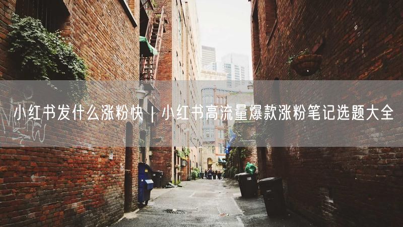 小红书涨粉秘籍：爆款笔记选题与实操经验全揭秘