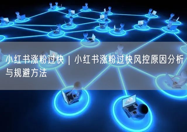 小红书涨粉过快|小红书涨粉过快风控原因分析与规避方法