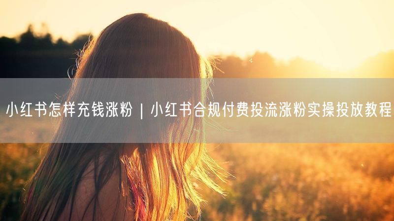 小红书充钱涨粉全攻略：付费投流实操与涨粉教程