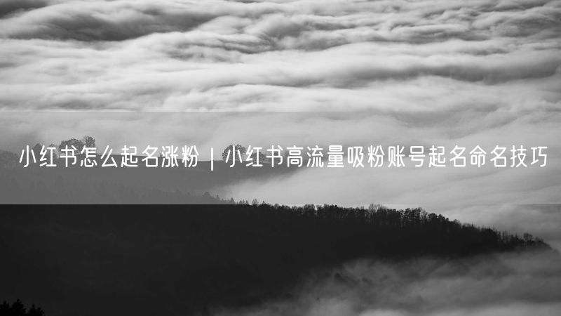 小红书怎么起名涨粉|小红书高流量吸粉账号起名命名技巧