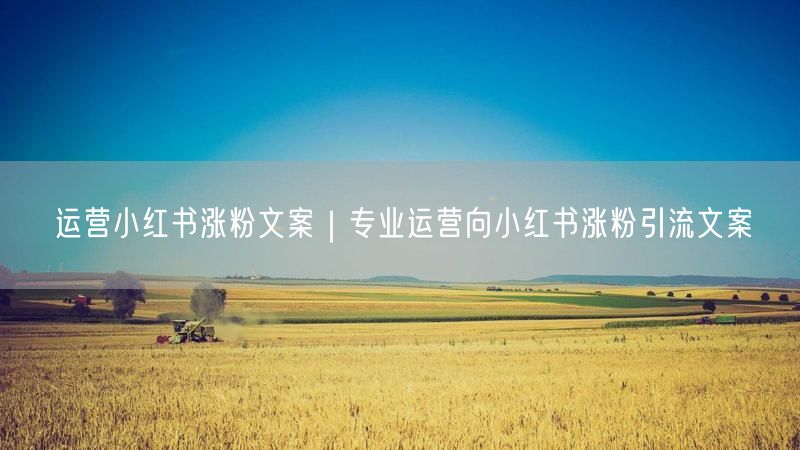 运营小红书涨粉文案|专业运营向小红书涨粉引流文案