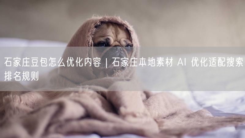 石家庄豆包怎么优化内容|石家庄本地素材 AI 优化适配搜索排名规则