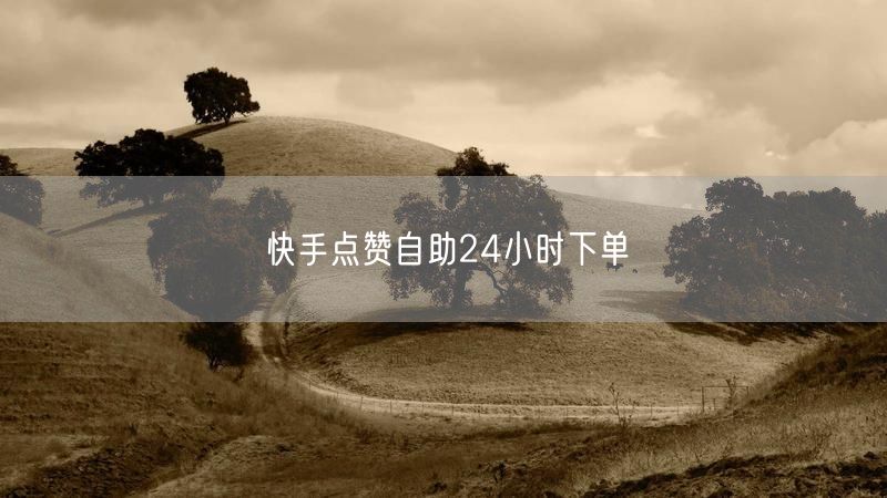 快手点赞自助24小时下单