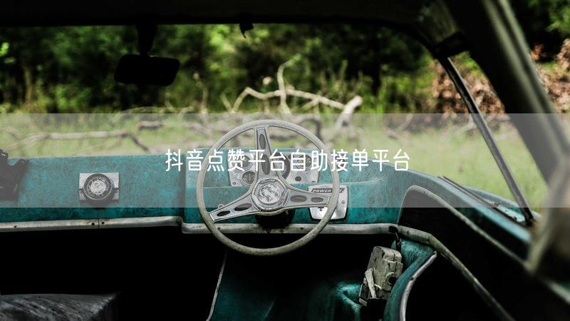 抖音点赞平台自助接单平台