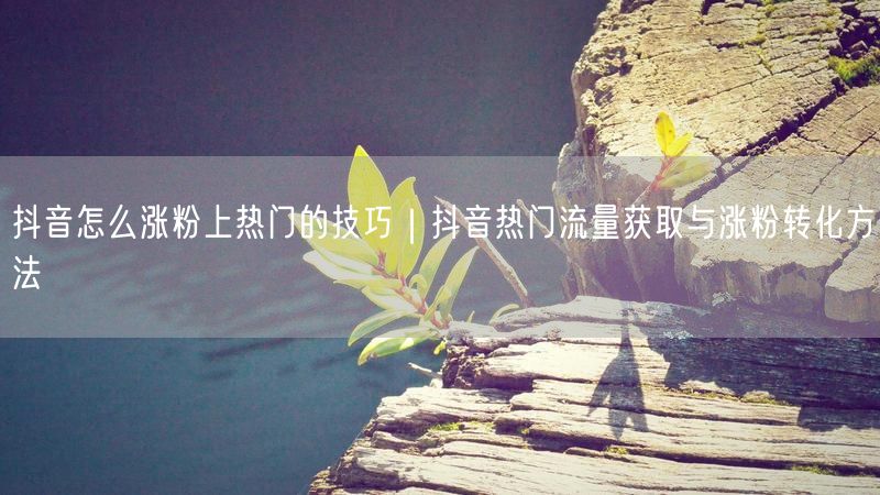 抖音怎么涨粉上热门的技巧｜抖音热门流量获取与涨粉转化方法