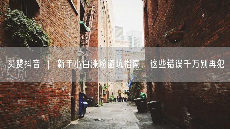 买赞抖音 ｜ 新手小白涨粉避坑指南，这些错误千万别再犯