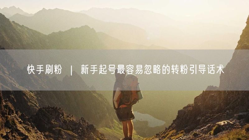 快手刷粉 ｜ 新手起号最容易忽略的转粉引导话术