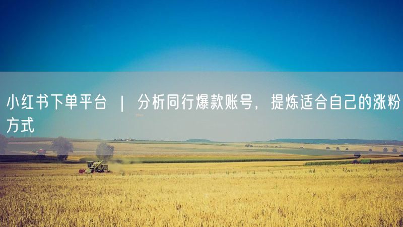 小红书下单平台 ｜ 分析同行爆款账号，提炼适合自己的涨粉方式