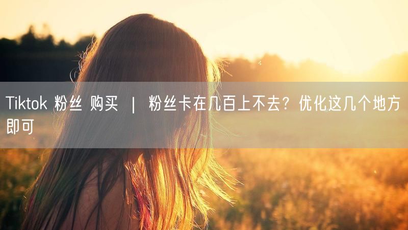 Tiktok 粉丝 购买 ｜ 粉丝卡在几百上不去？优化这几个地方即可
