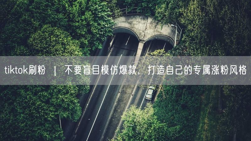 tiktok刷粉 ｜ 不要盲目模仿爆款，打造自己的专属涨粉风格