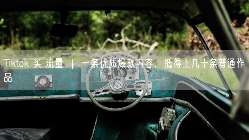 Tiktok 买 流量 ｜ 一条优质爆款内容，抵得上几十条普通作品