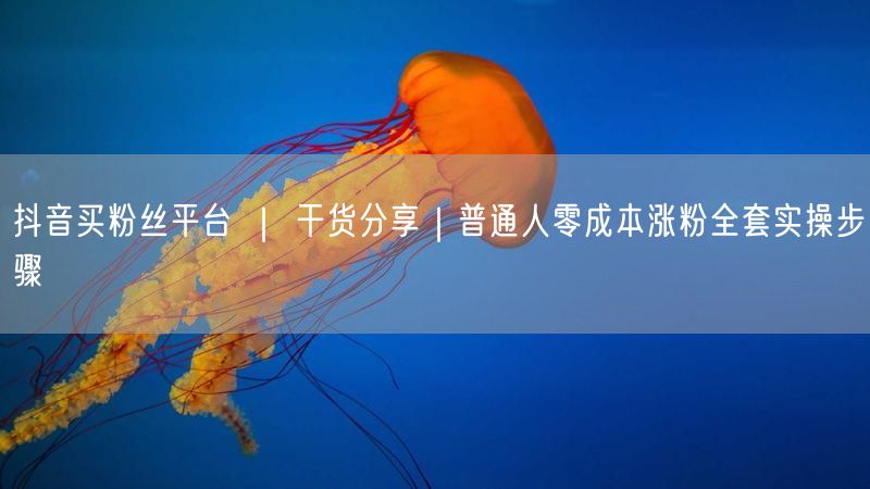 抖音买粉丝平台 ｜ 干货分享｜普通人零成本涨粉全套实操步骤